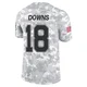 Caleb Downs Dallas Cowboys ＃18 Limited Youth Arctic Camo 2024 Salute to Service Jersey