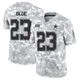 Jaydon Blue Dallas Cowboys ＃23 Limited Men's Arctic Camo 2024 Salute to Service Jersey