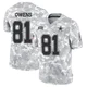 Terrell Owens Dallas Cowboys ＃81 Limited Men's Arctic Camo 2024 Salute to Service Jersey